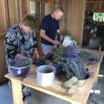 Uncle Paul helping put together lavender hand bouquets.