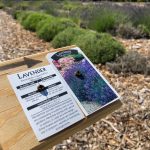 image10